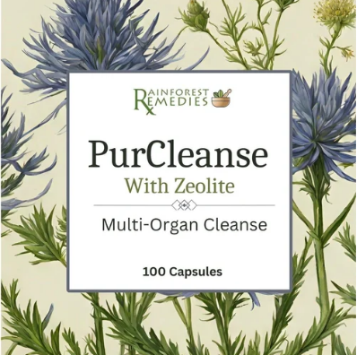 PurCleanse - Rainforest Remedies